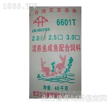 6601TB(yng)~-